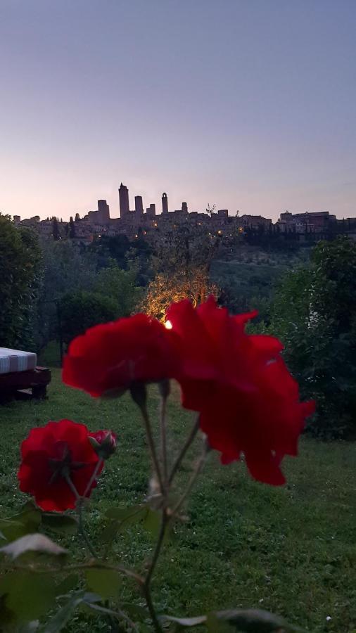 Antico Casolare Villa San Gimignano Luaran gambar
