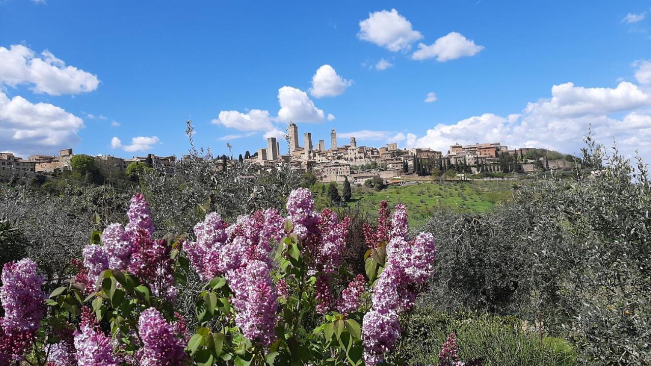 Antico Casolare Villa San Gimignano Luaran gambar