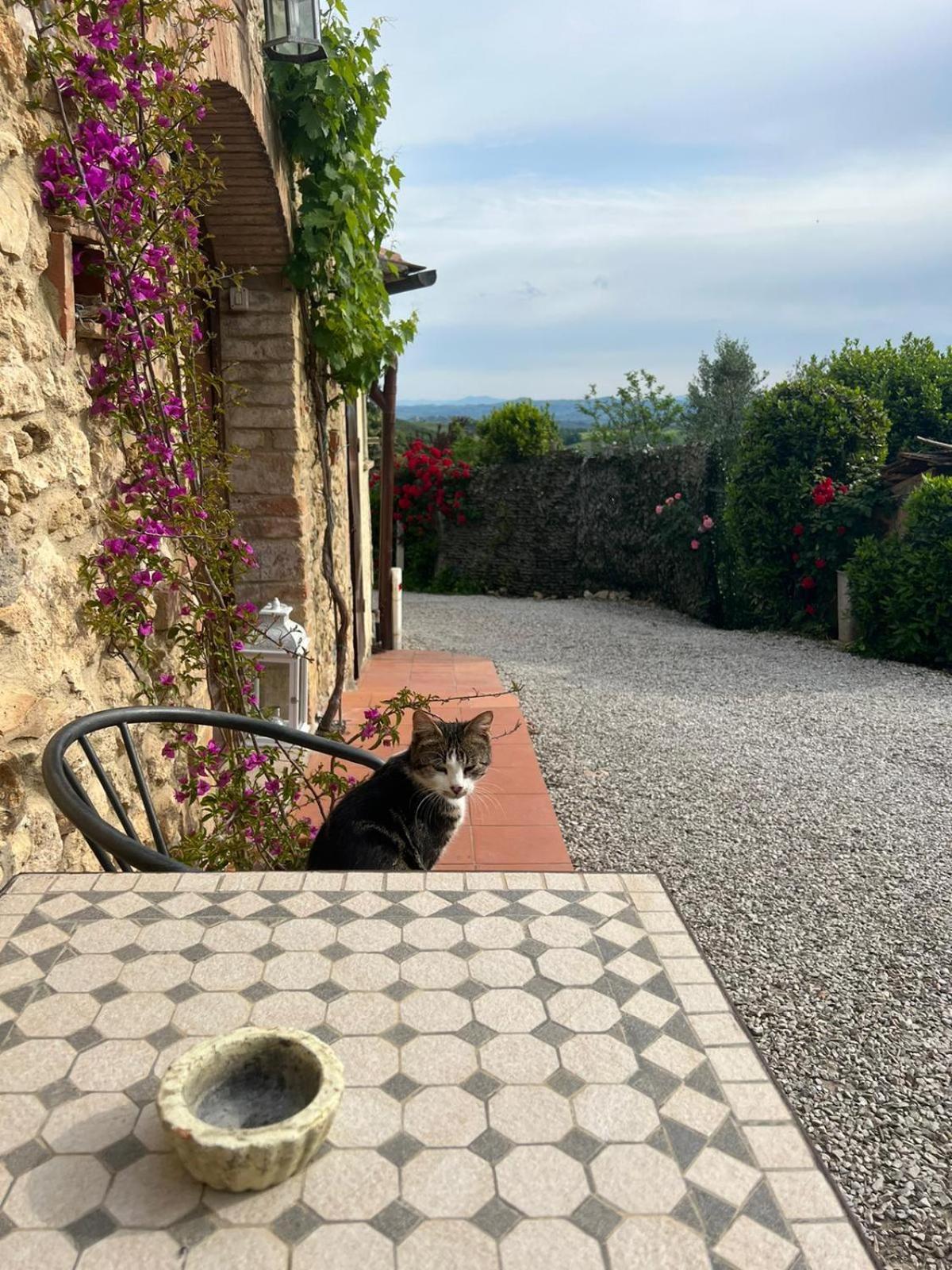 Antico Casolare Villa San Gimignano Luaran gambar