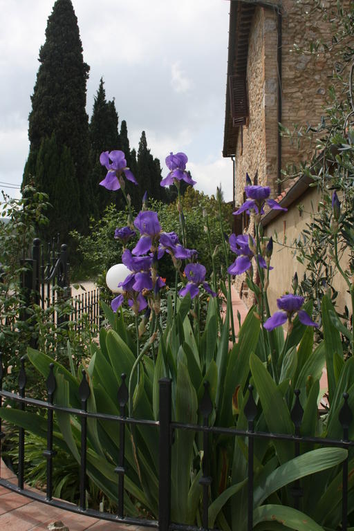Antico Casolare Villa San Gimignano Luaran gambar